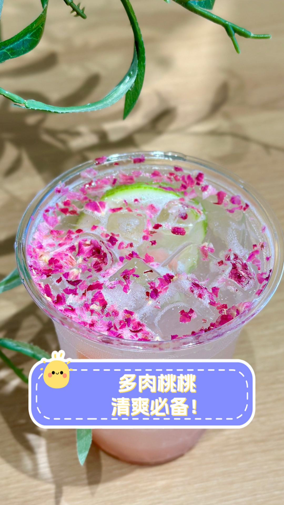 多肉桃桃,清爽必备!