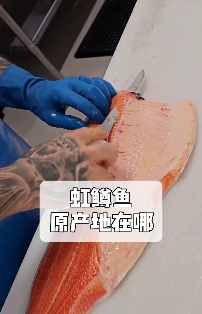 虹鳟鱼,原产地在哪?