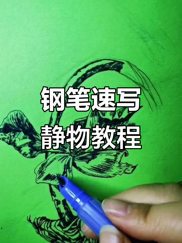 钢笔速写静物技巧解析,从藤条到花瓣的细腻刻画