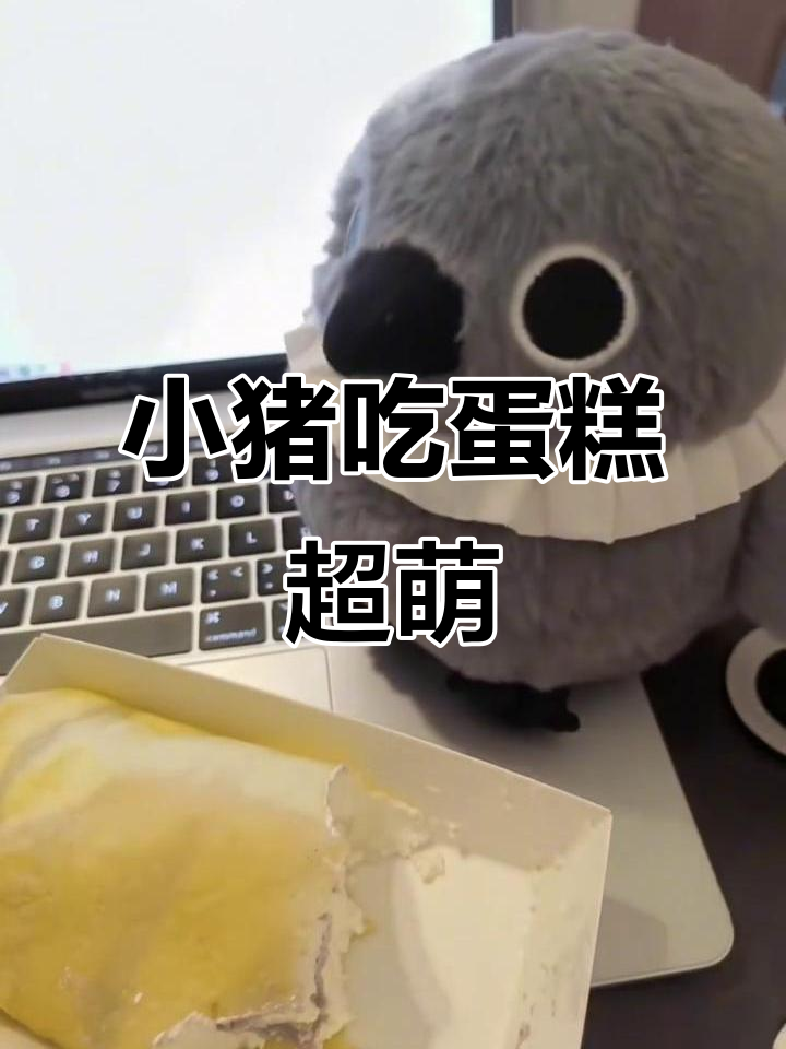 妈咪说我是猪,那我就做可爱小猪吃蛋糕
