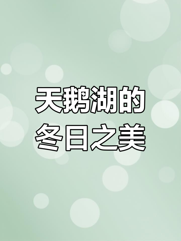 冬季伊犁湖畔,疣鼻天鹅优雅现身,洁白如雪,美得令人陶醉