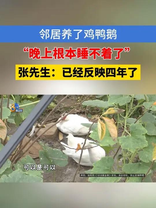 「村民称常被邻居家半夜鹅叫惊醒 探讨邻里的相处之道」鹅鹅鹅,曲项向天歌……绍兴的张先生说,