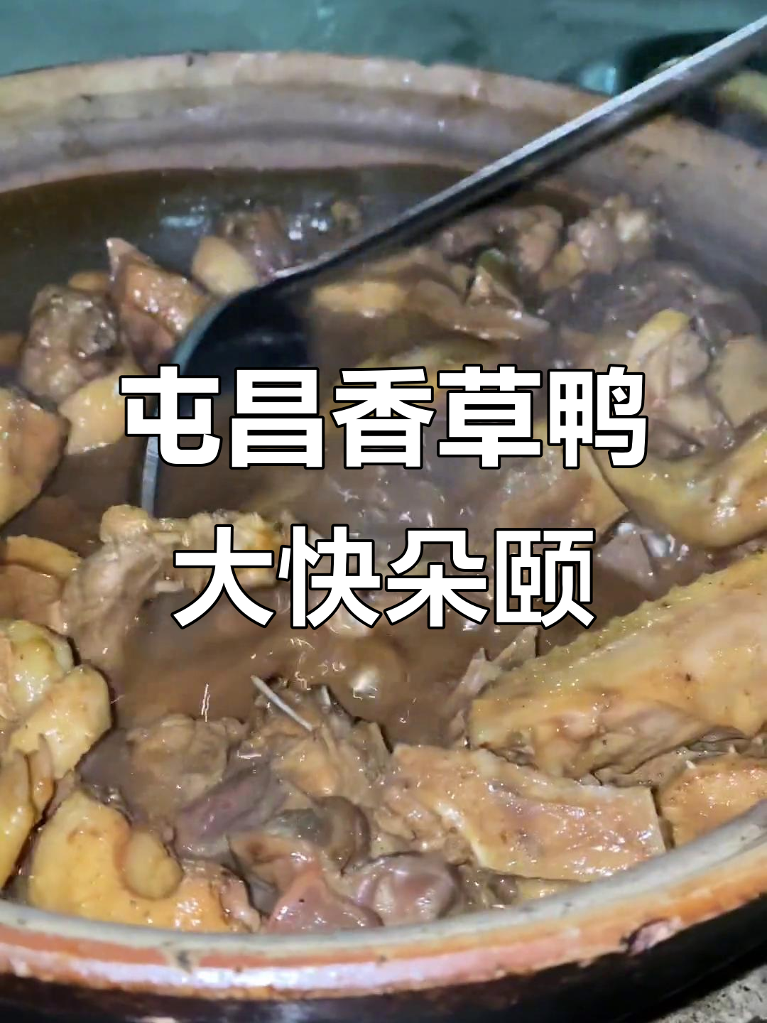 屯昌枫木香草鸭,农家乐美食新体验!