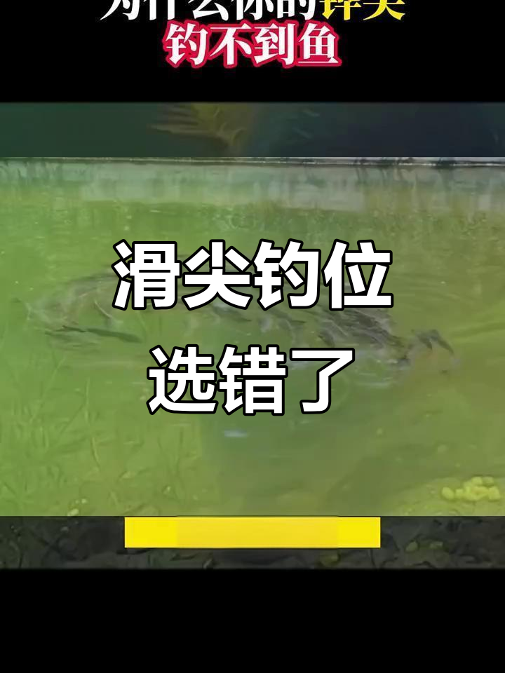 为什么滑尖钓不到鱼?揭秘钓鱼技巧与位置选择