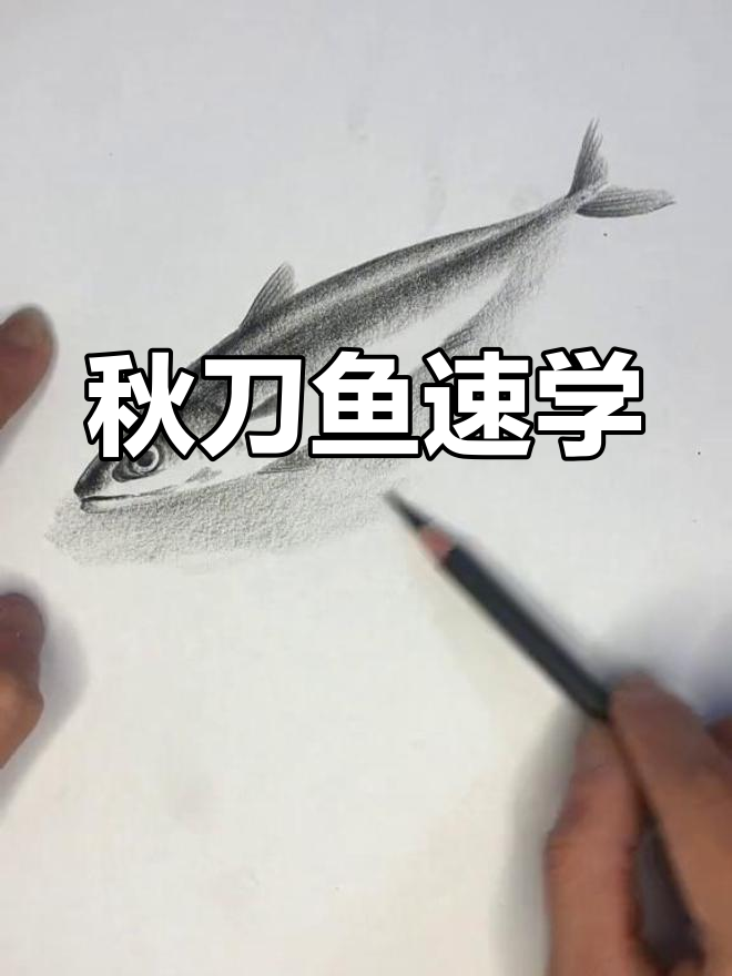 秋刀鱼画法轻松学,不会就找我!