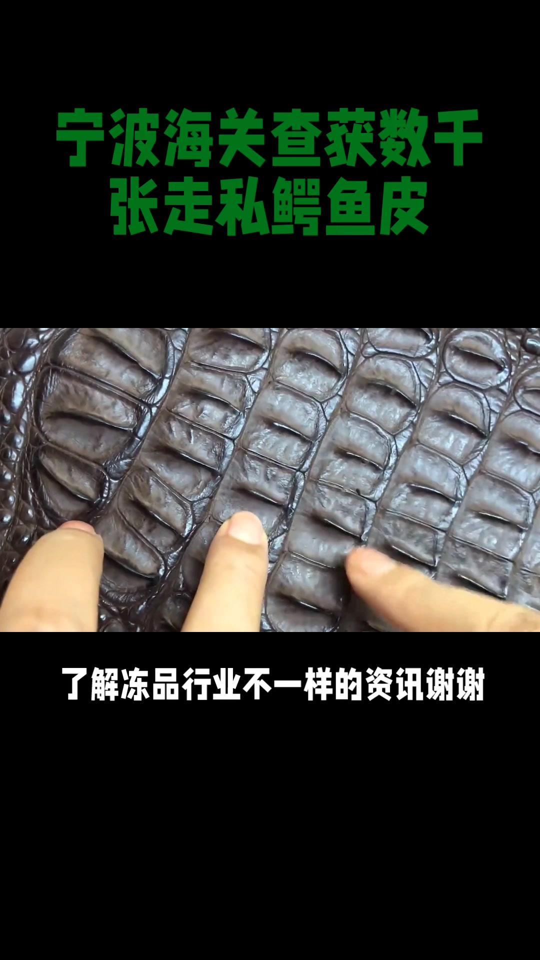宁波海关查获数千张走私鳄鱼皮