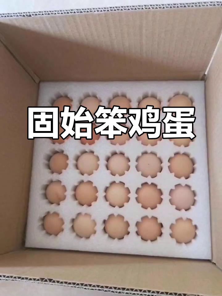 固始笨鸡蛋:农家土鸡,品质保证