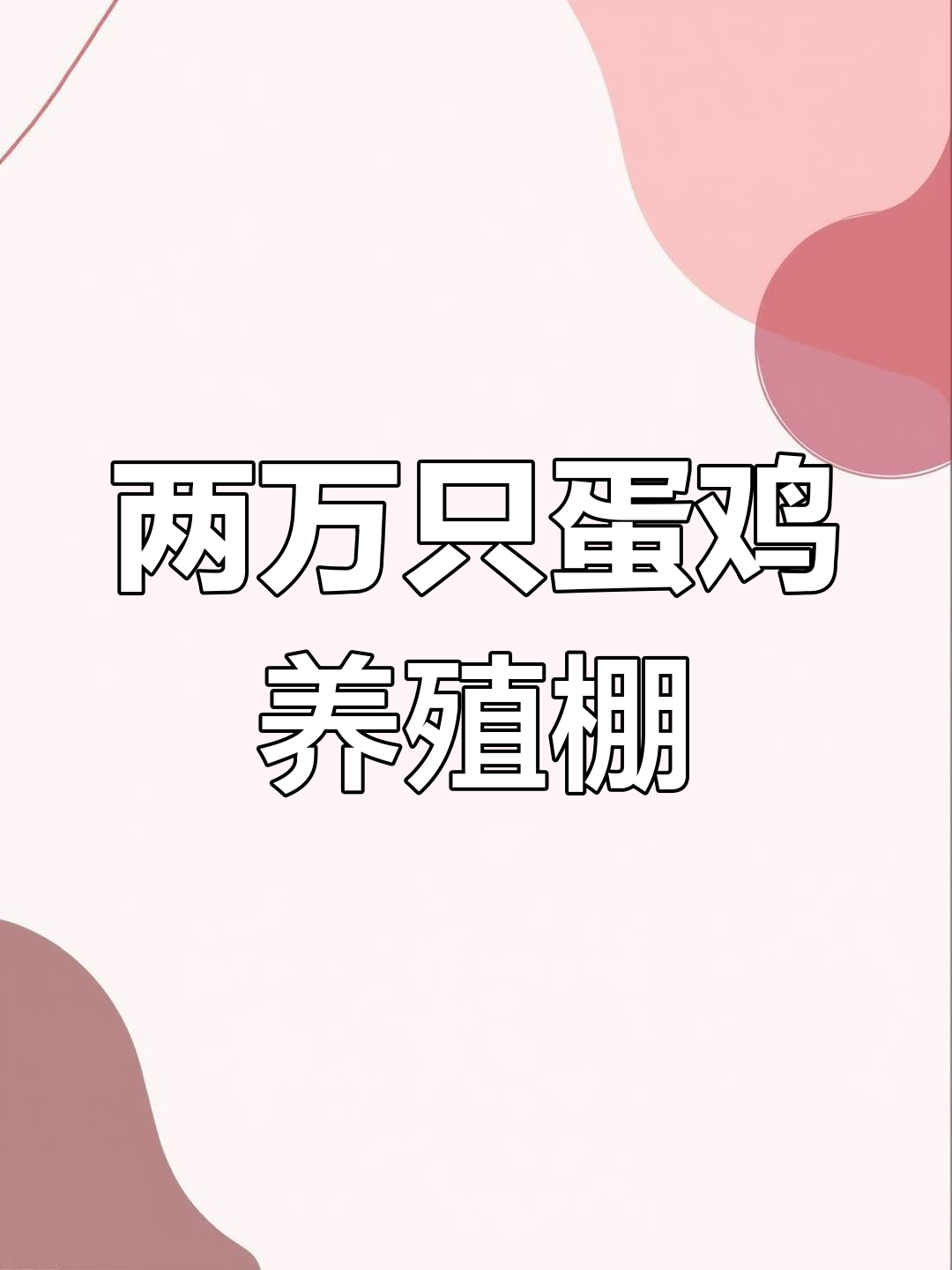 河南牧丰两万只蛋鸡养殖大棚,设施齐全通风好