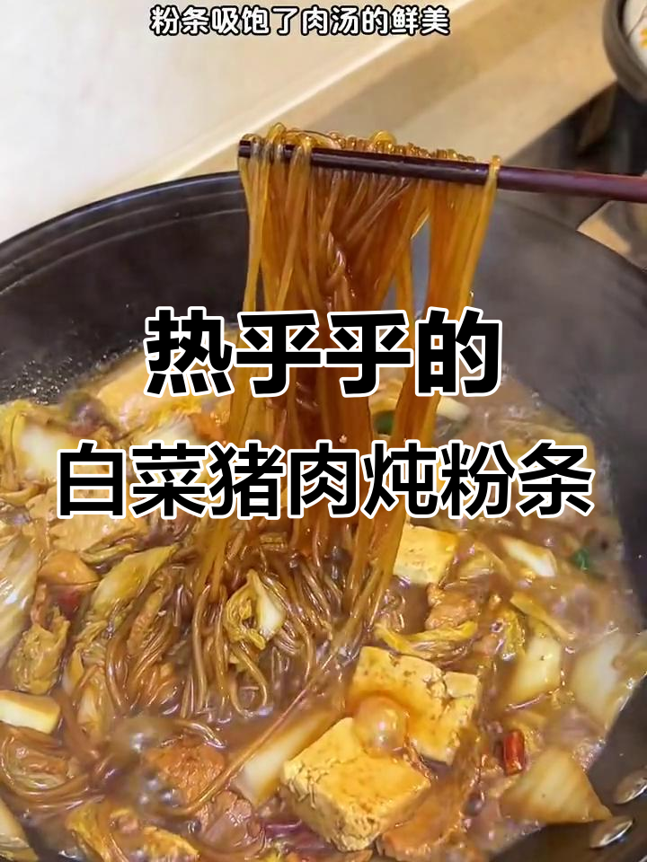 白菜猪肉炖粉条，热腾腾的家常下饭美味