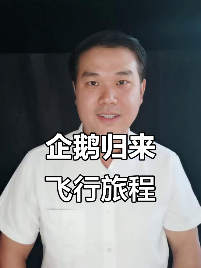 企鹅先生从地中海飞回上海,韩国日本之旅后回归中国