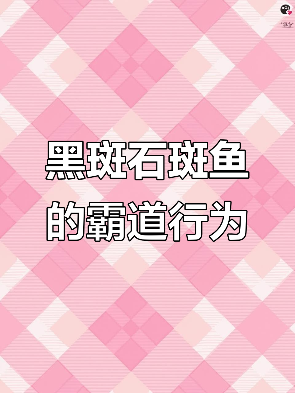 澳洲黑斑石斑鱼霸道抢食,潜猎者无奈放弃
