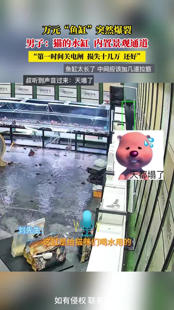 万元“鱼缸”突然爆裂,男子:猫的水缸,内置景观通道,“第一时间关电闸,损失十几万,还好”