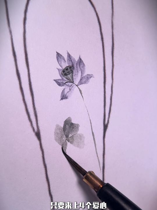 荷花金鱼水彩教程