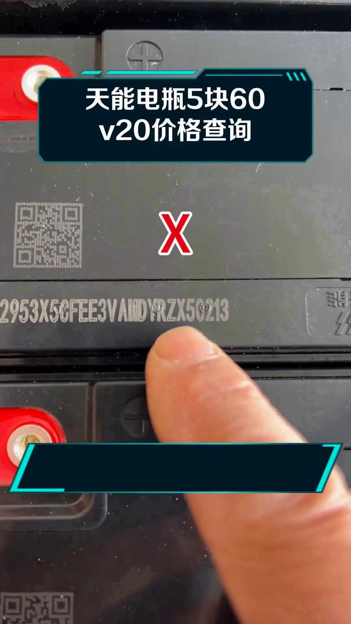 天能电瓶5块60v20价格查询