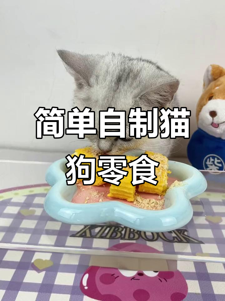 自制宠物玉子烧,猫咪狗狗都爱吃!