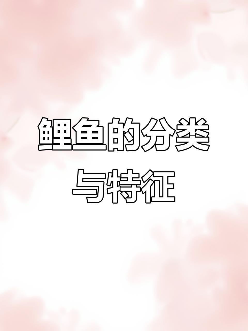 鲤鱼品种大揭秘:从单色到无鳞,各种类型全解析