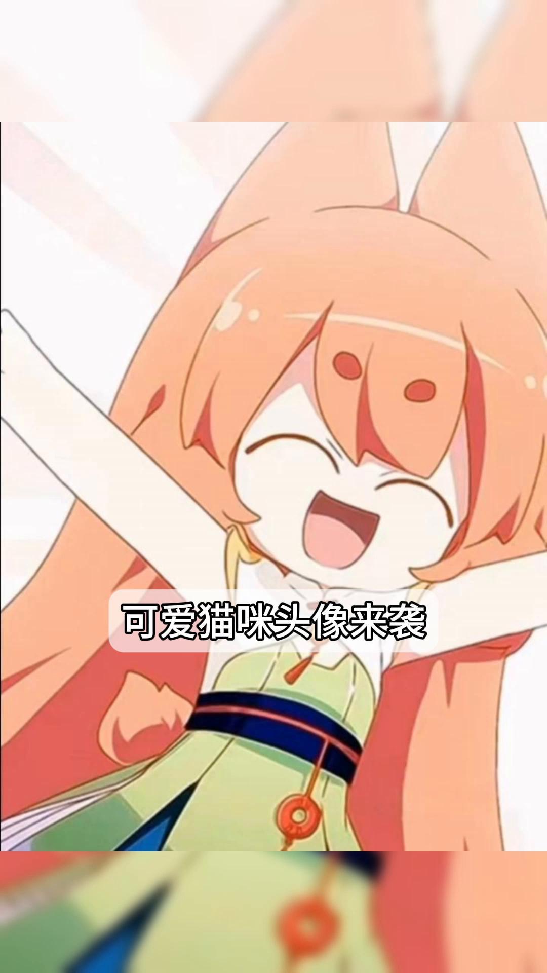 可爱猫咪头像来袭!