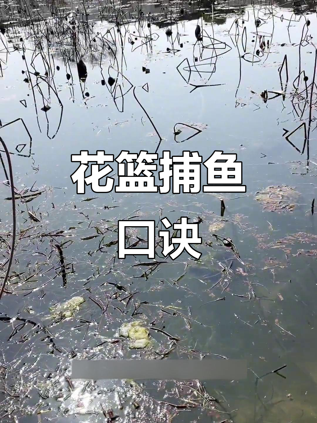 花篮捕鱼秘诀大揭秘,轻松掌握上鱼技巧