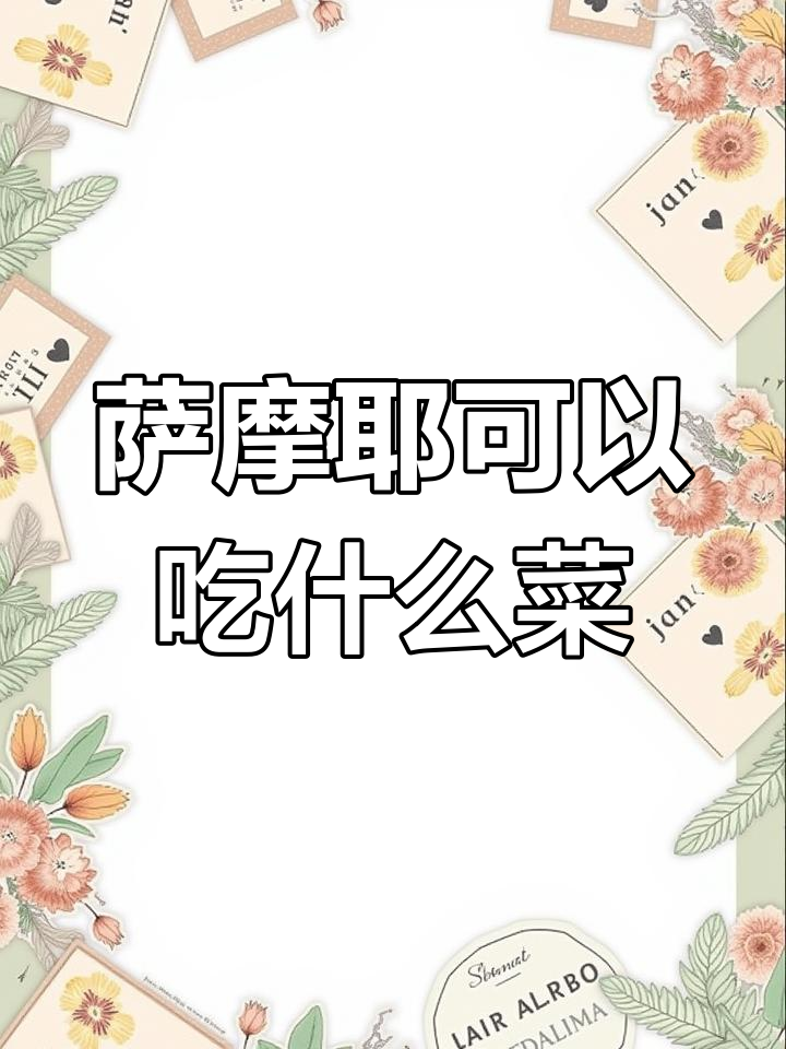 萨摩耶能吃的蔬菜大揭秘,这些食物对狗狗健康有好处