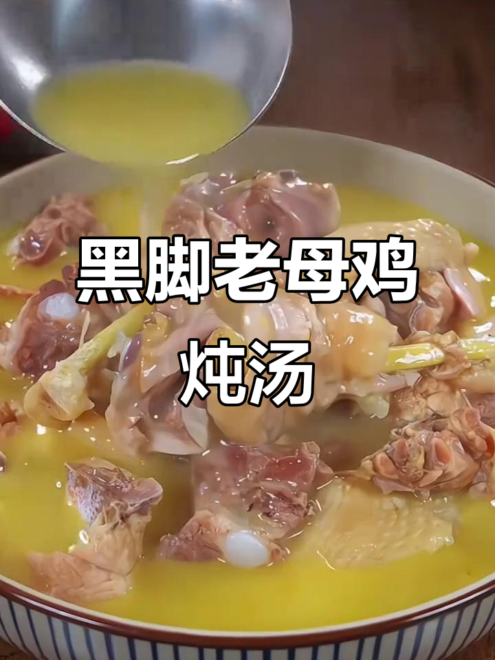 小巧黑爪母鸡炖出鲜美鸡汤,金黄汤底让人回味无穷