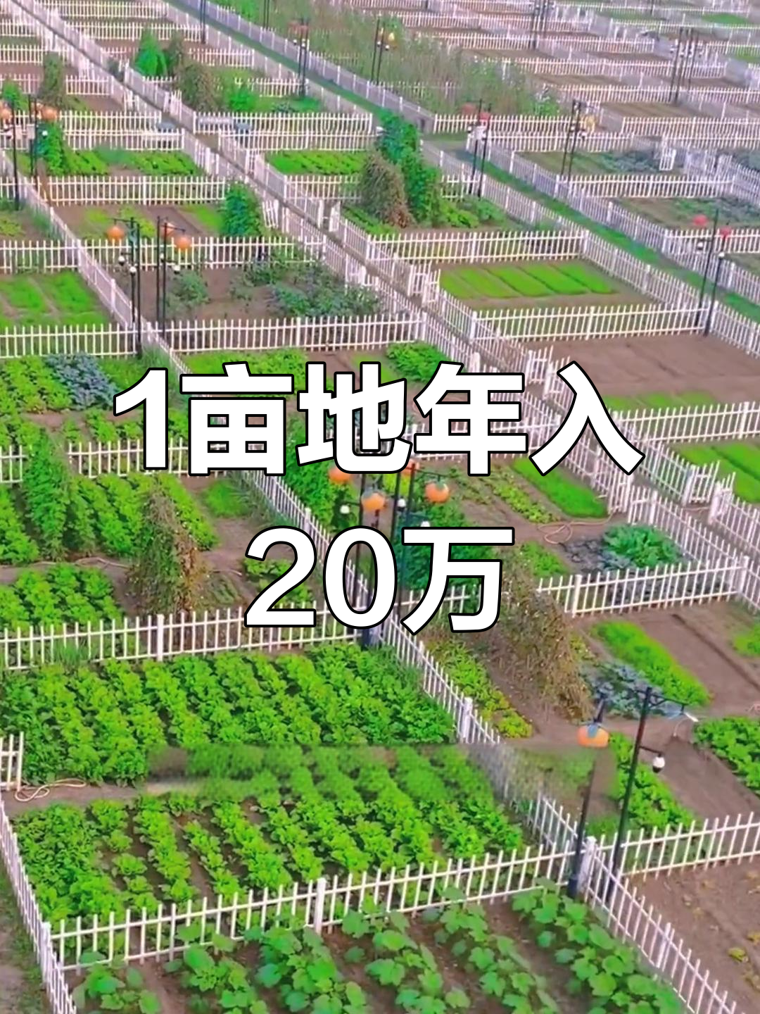 一米菜园:打造你的农场,轻松赚20万