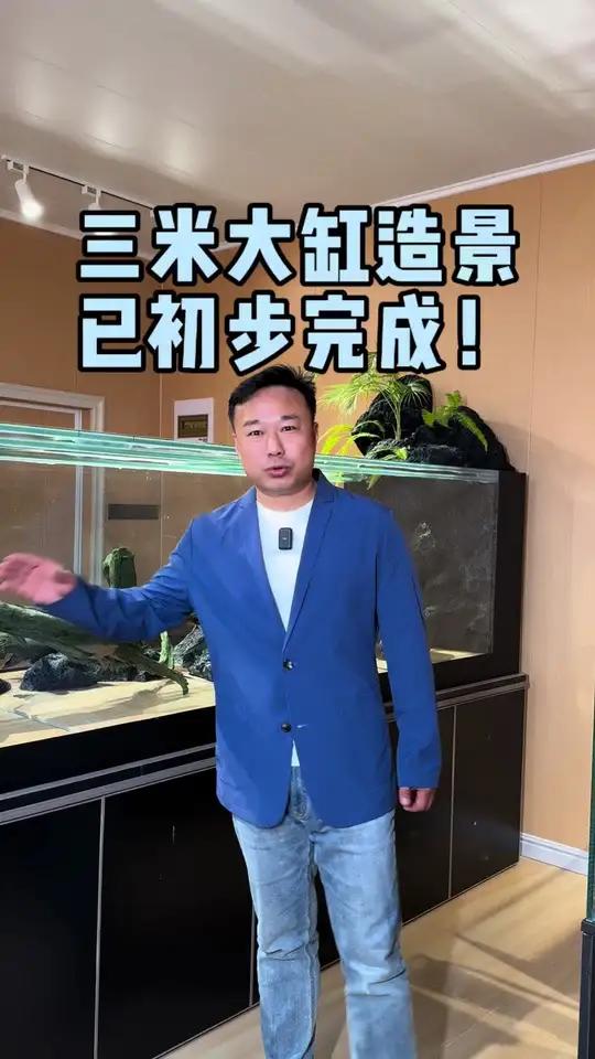 三米大缸造景已初步完成!