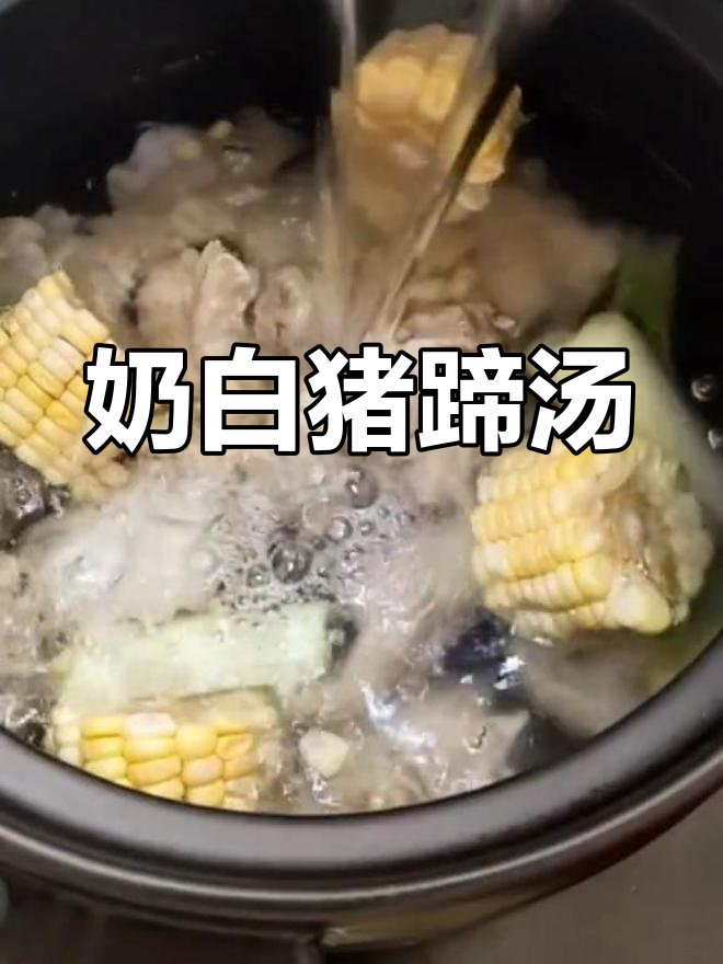 奶白猪蹄汤,简单又营养,滋补美容全搞定
