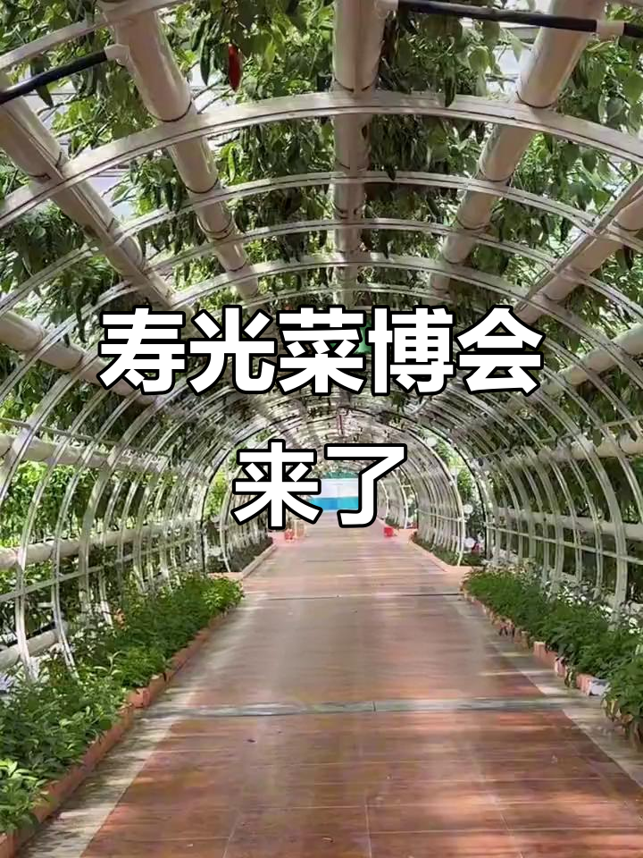 4月寿光蔬菜博览会盛大开幕,精彩不容错过!