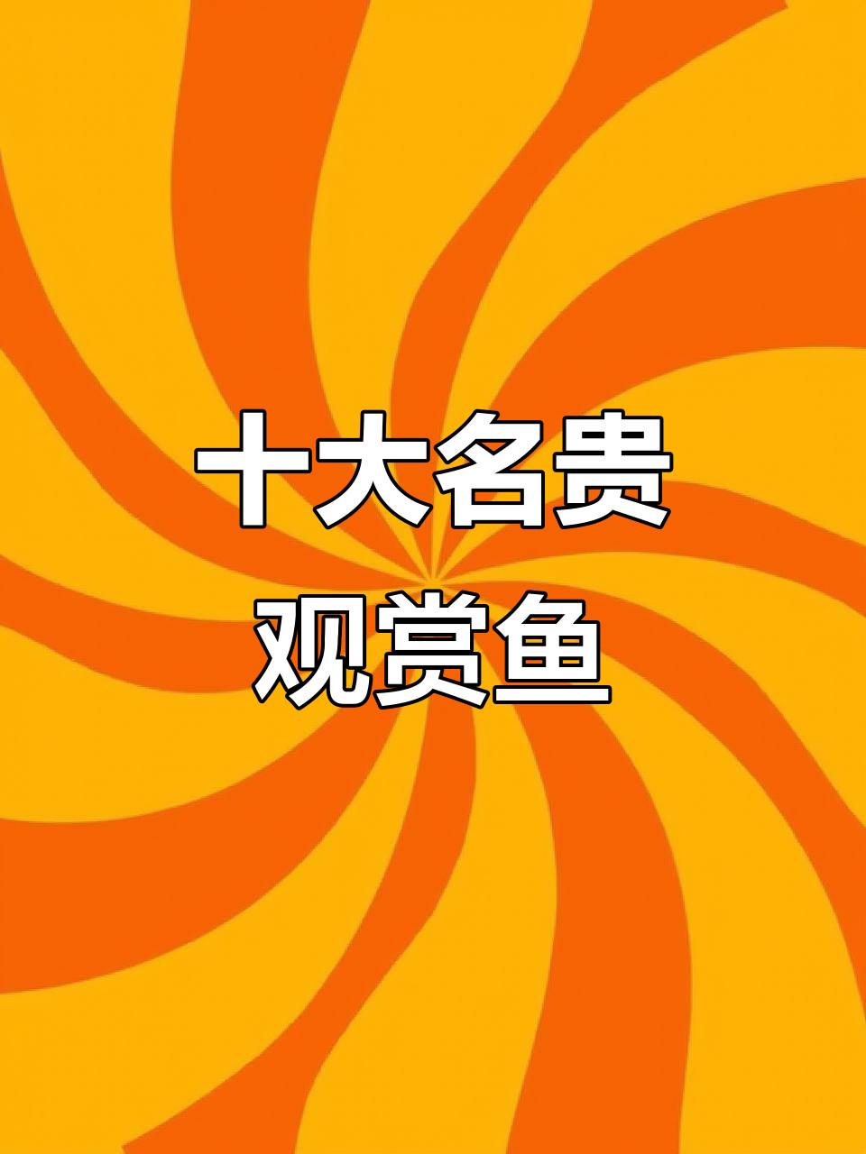 10种顶级观赏鱼,看看你认识几种?价格惊人!