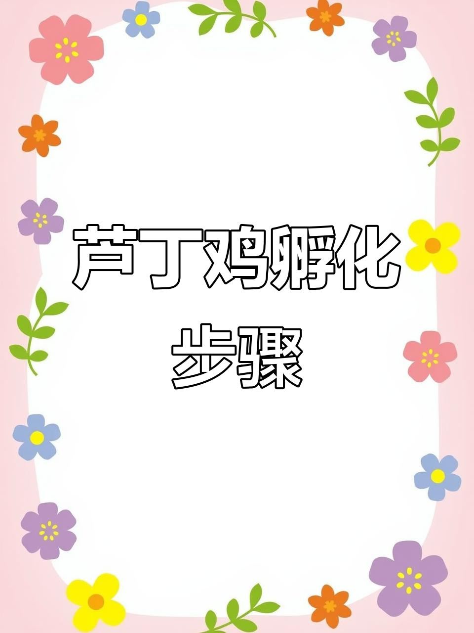 芦丁鸡孵化全攻略:从准备材料到成功孵出小鸡