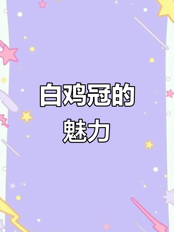 白鸡冠茶,独特香气令人陶醉,提神降压效果显著