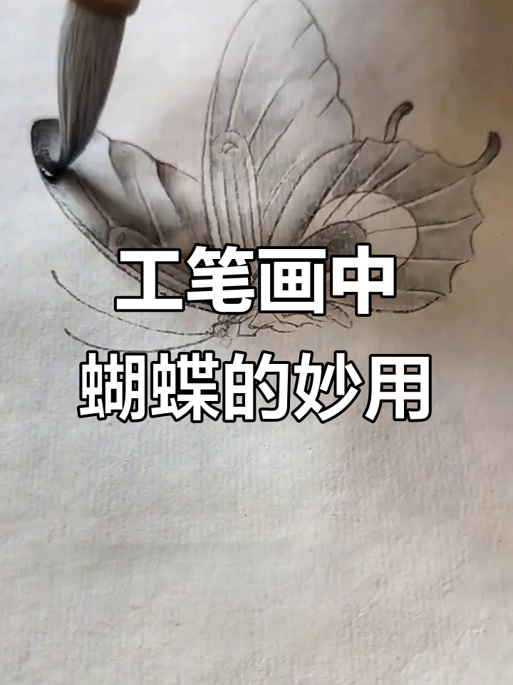 蝴蝶为工笔花鸟画增添灵动,画面更生动