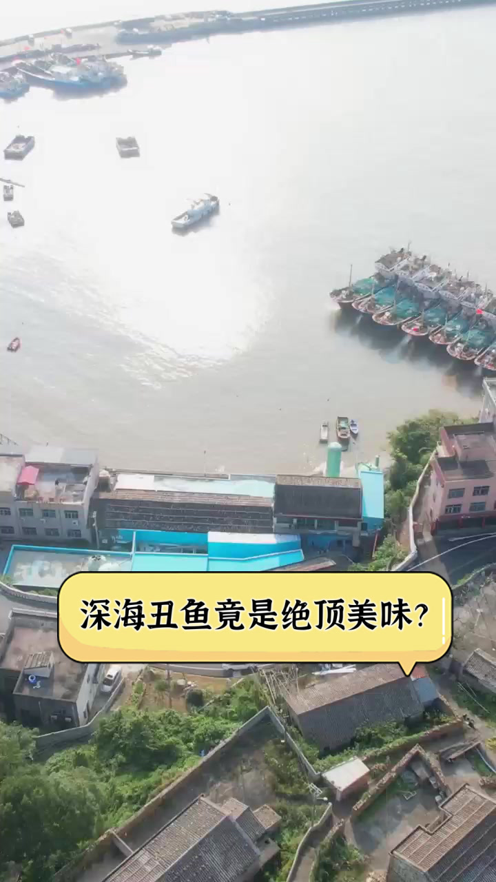 深海丑鱼竟是绝顶美味?