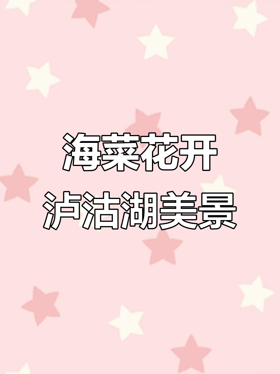 泸沽湖海菜花盛开，最佳观赏时间与地点全揭秘