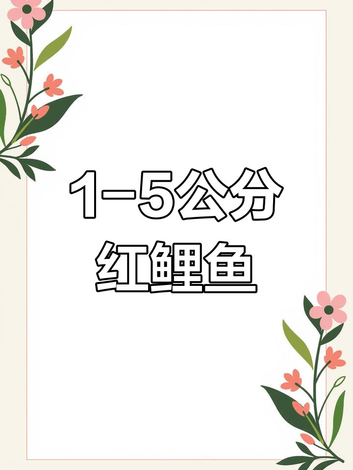 红鲤鱼苗养殖技巧,一年可长至2斤
