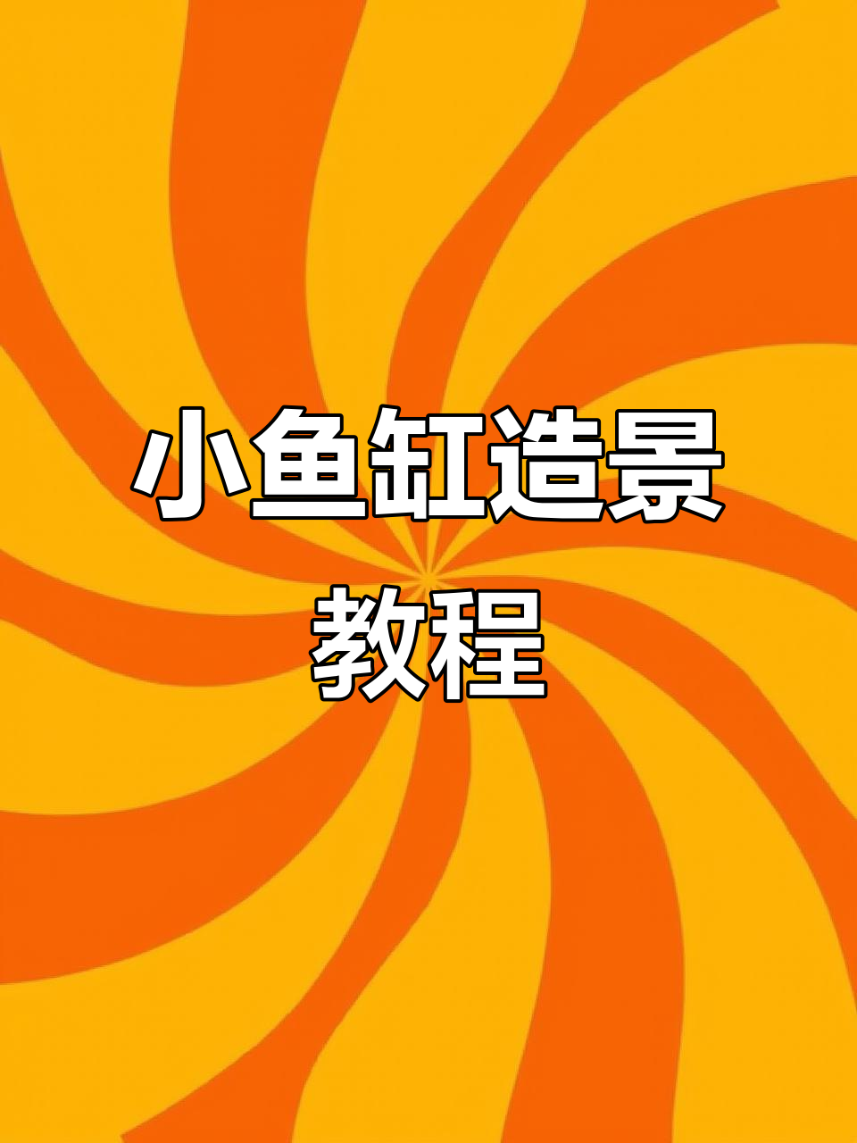 迷你鹦鹉新家打造，40公分鱼缸造景全攻略