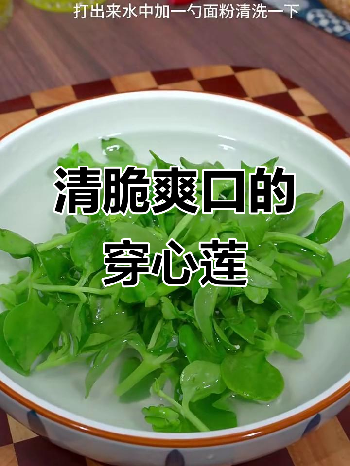 穿心莲凉拌新做法，清爽不腻口