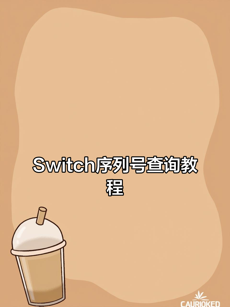 如何查看Switch序列号和连接原装手柄