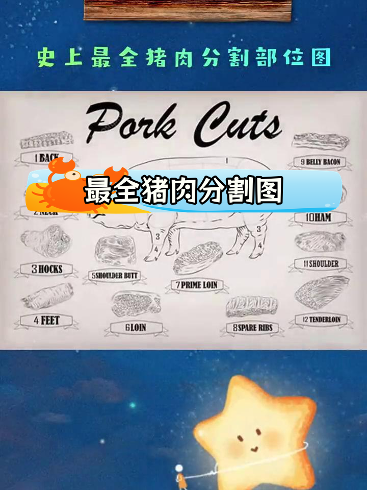 猪肉分割全图解析,轻松掌握各部位