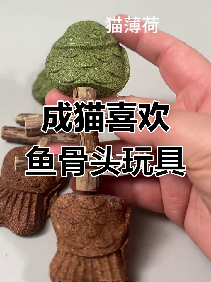 成年猫对鱼骨头玩具兴趣浓厚,小猫却不太感兴趣