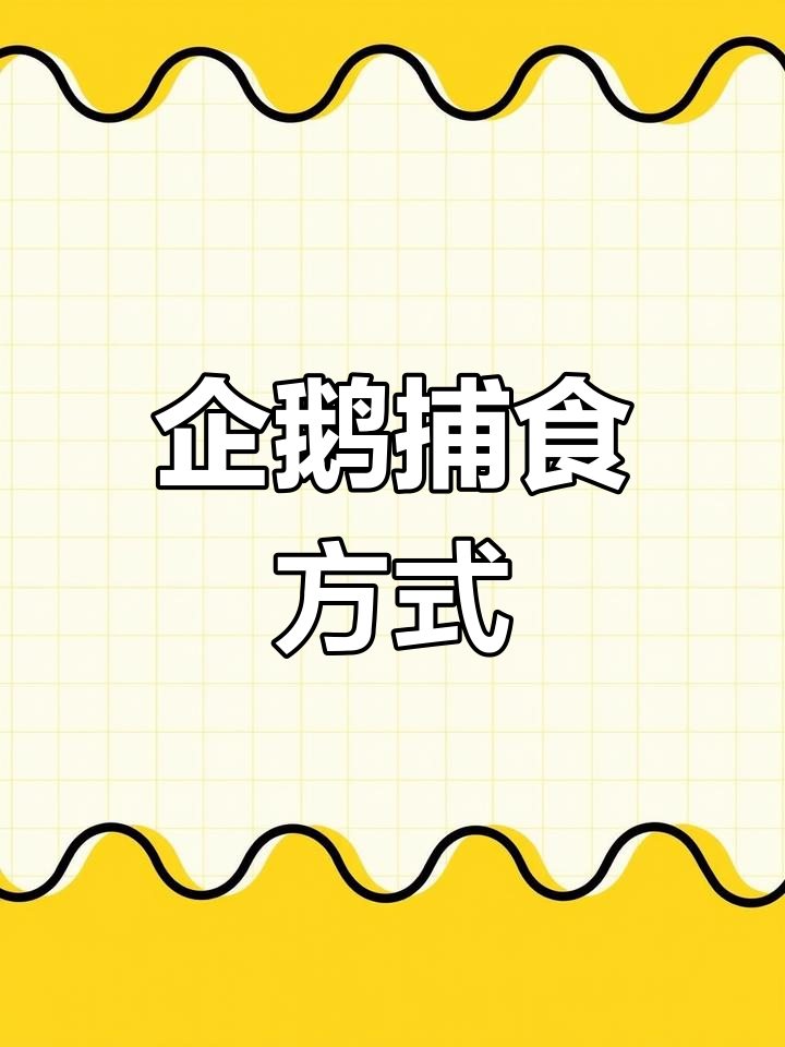 企鹅捕食技巧大揭秘:小群体围猎鱼群