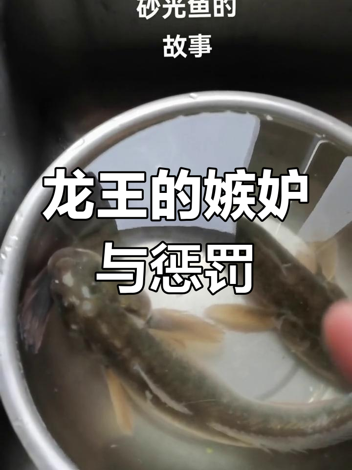沙光鱼的故事与寓意