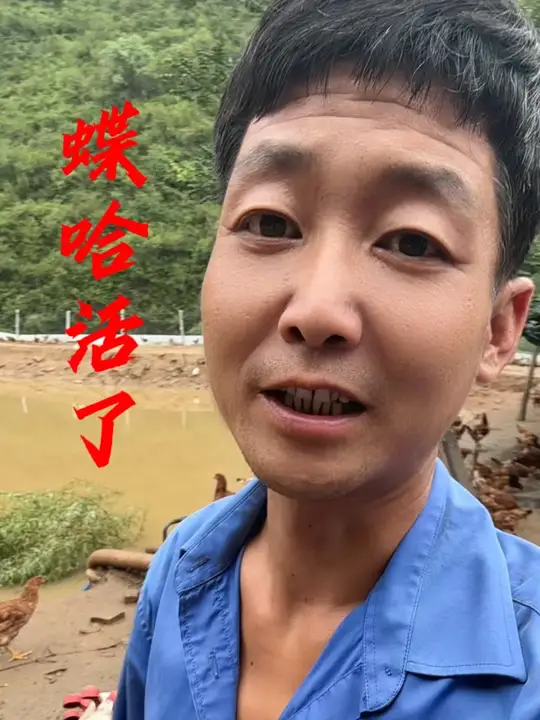 农村生活记录:生态散养跑山鸡的养殖日常
