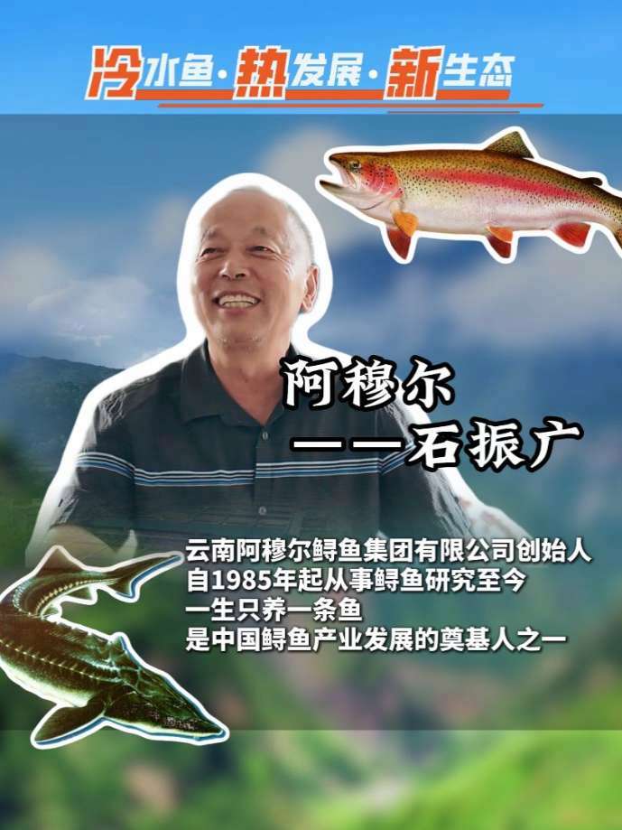 中国鲟鱼产业产能翻倍,有可能吗?冷水鱼产业调研行之走进云南最大的鲟鱼养殖企业阿穆尔 202