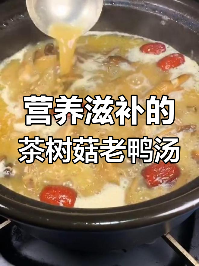 秋季温补必备,茶树菇老鸭汤做法