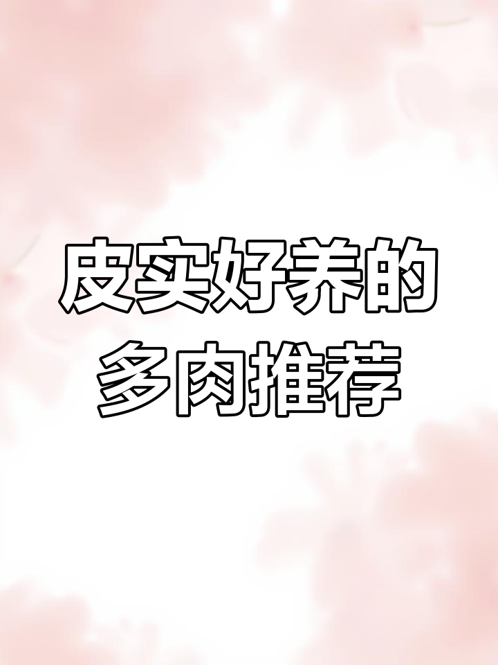 这些多肉耐热又抗寒,夏季轻松养护不愁