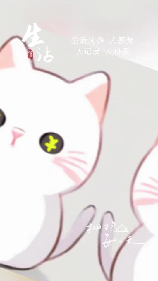 小猫治愈日常表情包
