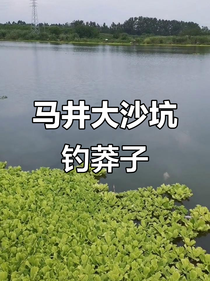 马井大沙坑钓鱼传说,莽子鱼难求!
