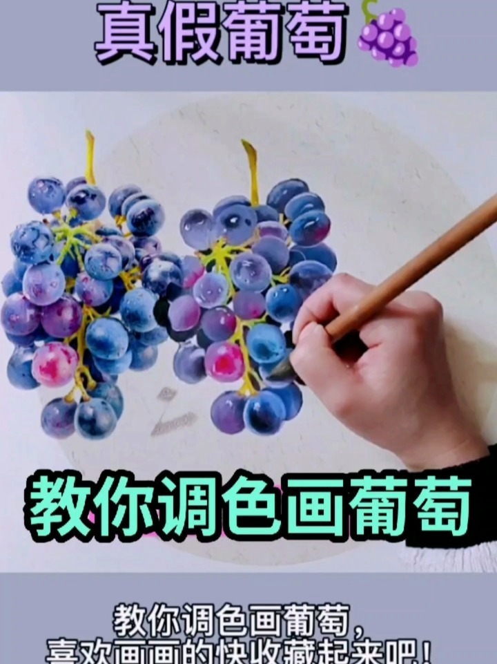 教您调色画葡萄,国画教程课堂来了