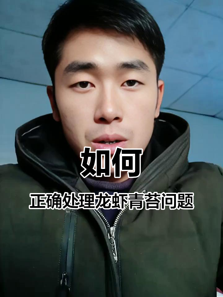 青苔对龙虾养殖的影响及应对方法